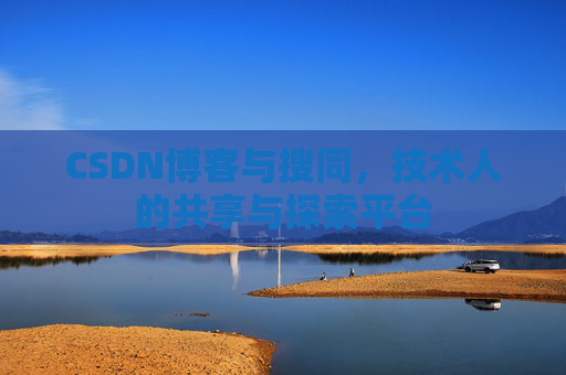 CSDN博客与搜同,技术人的共享与探索平台